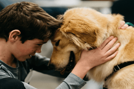 A young boy and a golden retriever touching foreheads affectionately, showing a close bond and warmth.
